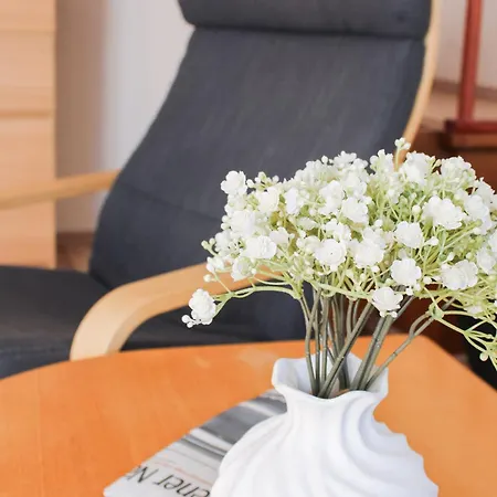 Ferienhaus Am Ringwall 8